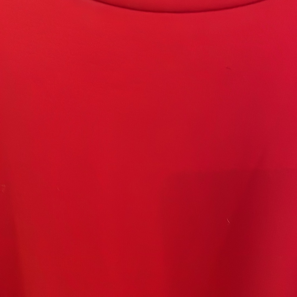 Banana Republic Red Dress - Picture 3 of 5